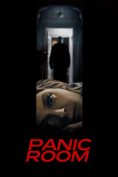 Panic Room movie poster