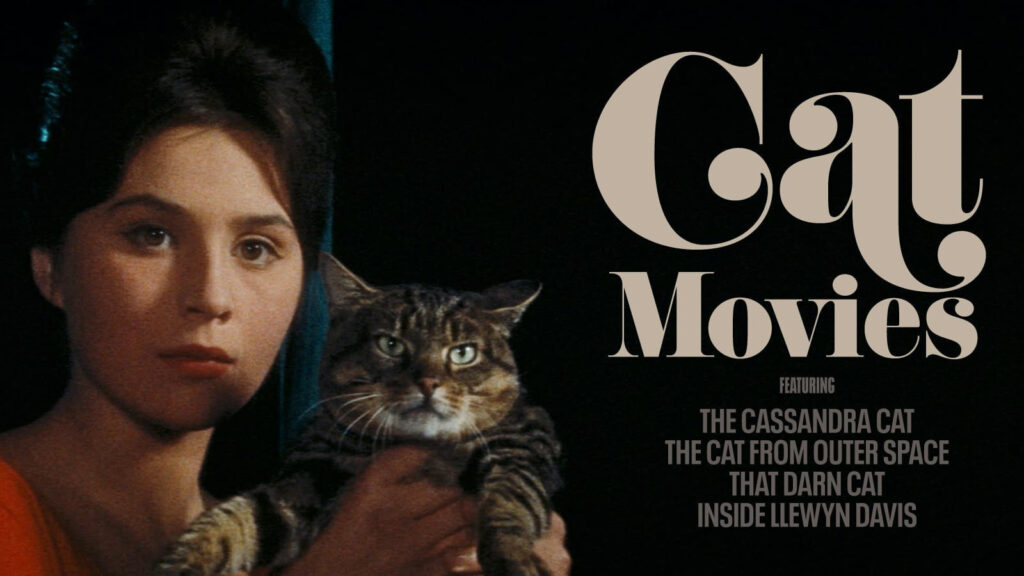 Cat Movies Criterion Channel