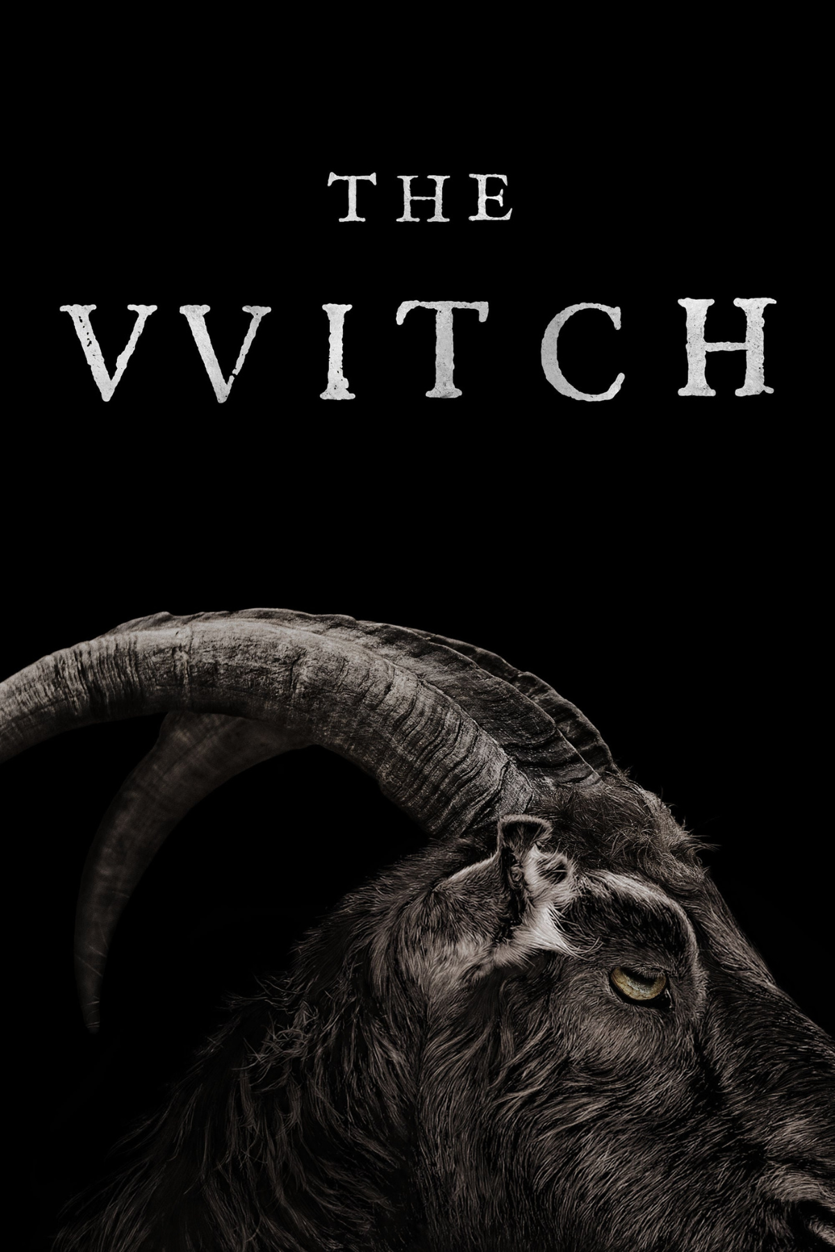 the witch movie 2015