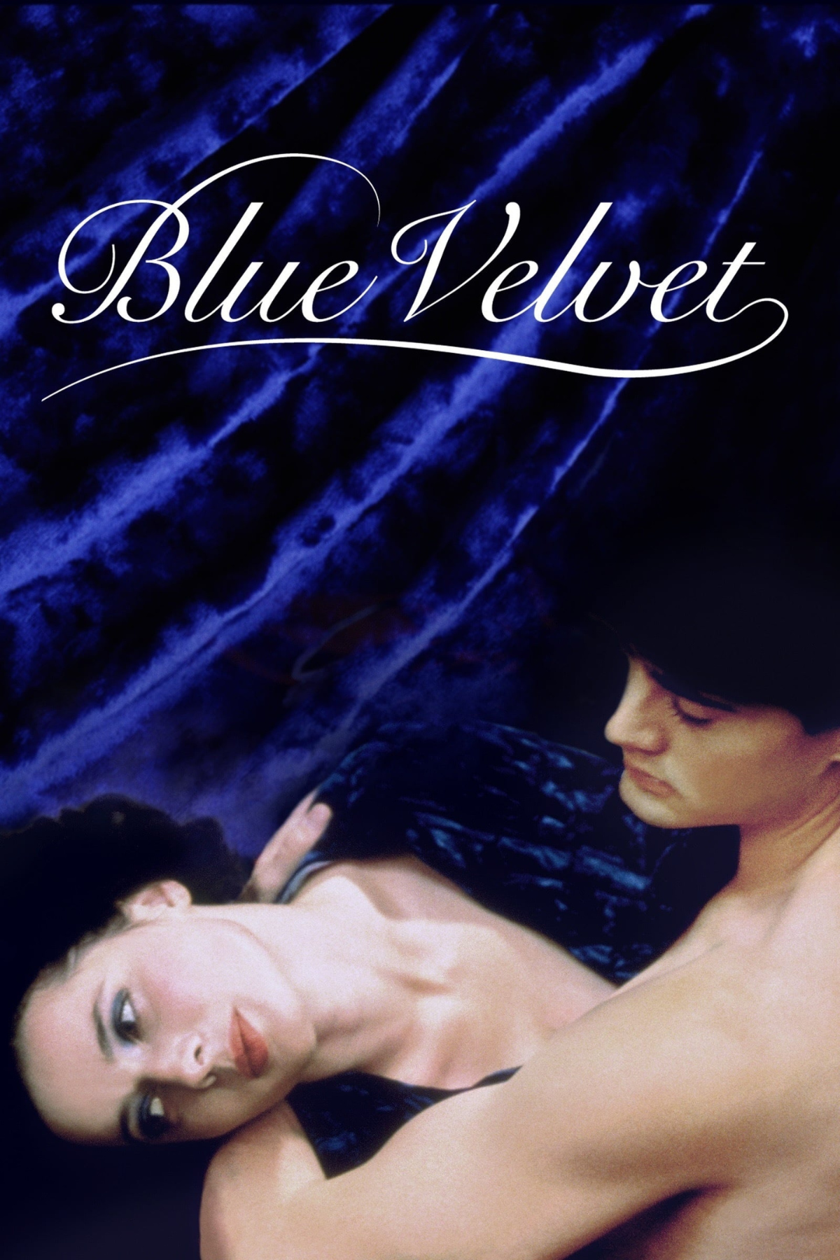 blue velvet movie review and film summary 1986