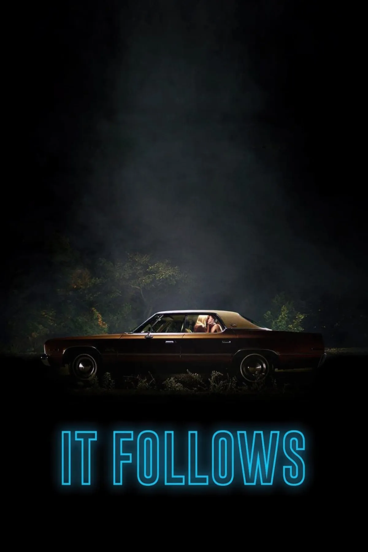 it follows 2015