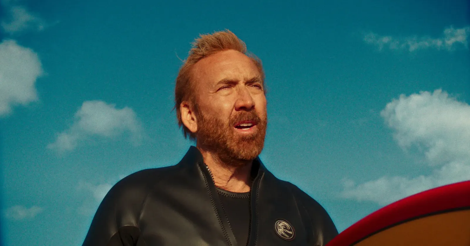 The Surfer (2025)