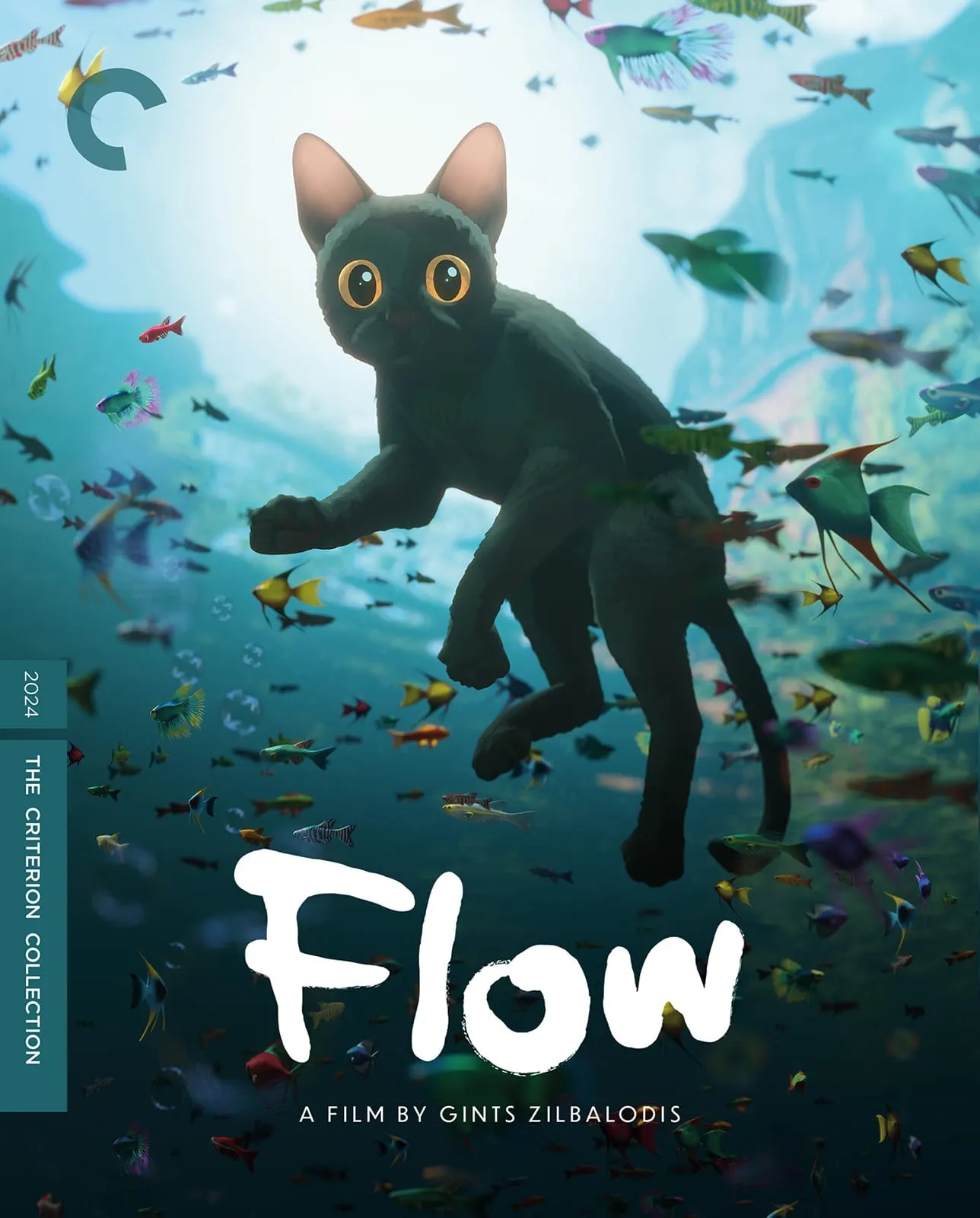 Flow (2024) - The Criterion Collection