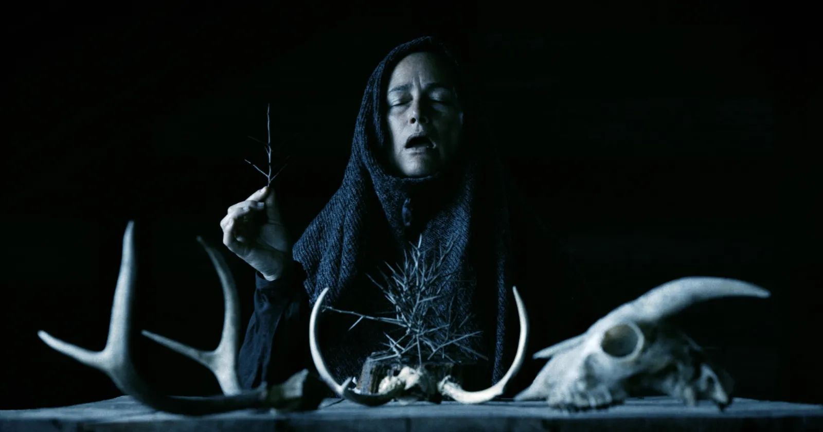 Mother of Flies (2026)