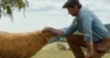 The Sheep Detectives (2026)