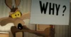 10 Movies Like ‘Coyote vs. Acme’ Coyote vs. Acme (2026)