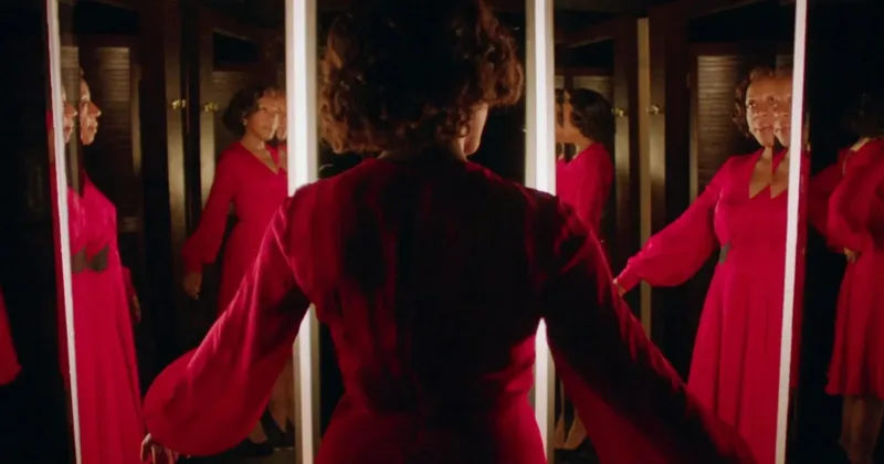 In Fabric (2018)